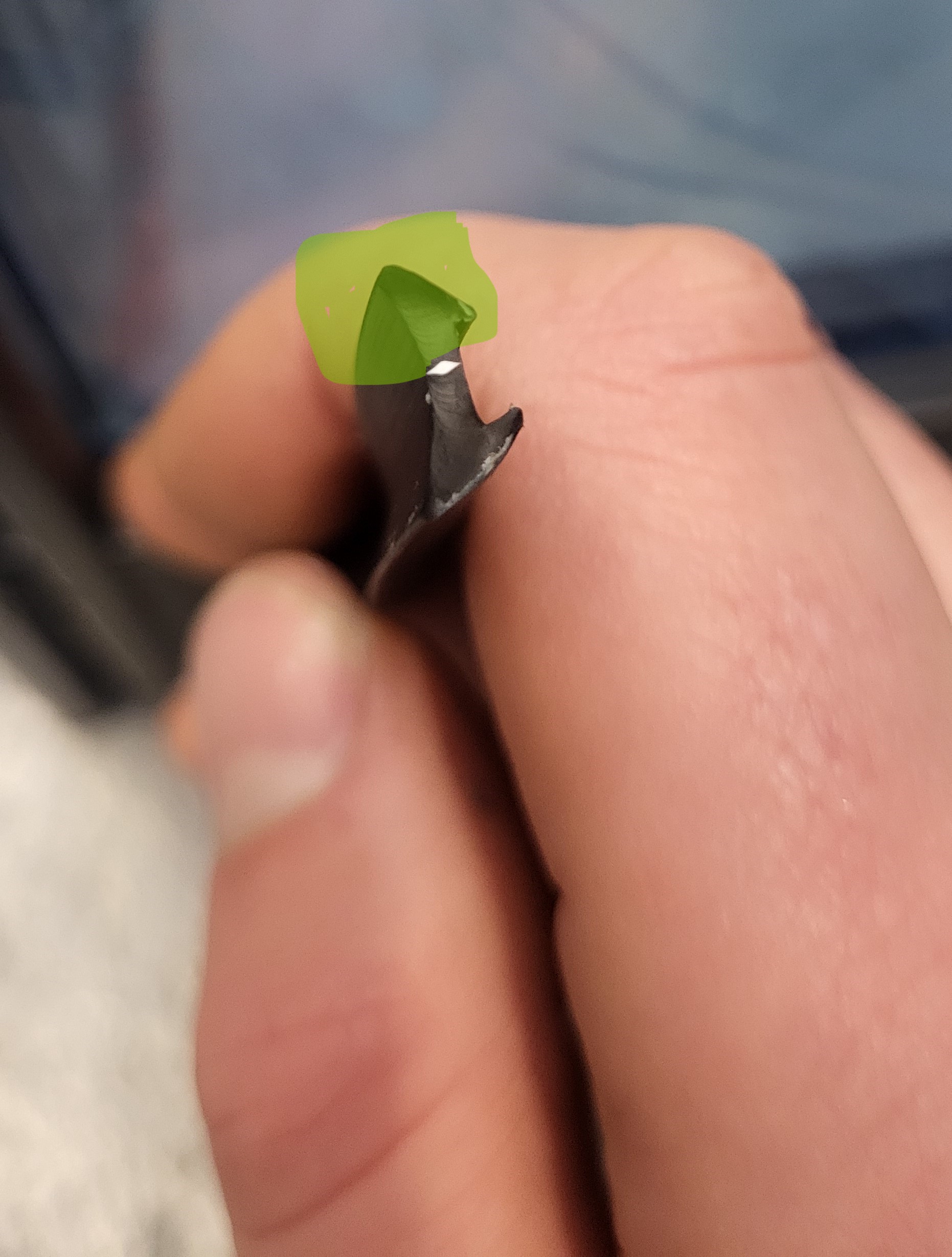 seal trim orientation.jpg